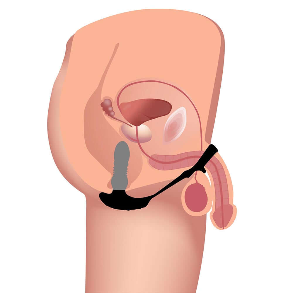 Thunderplugs 10X Thrusting Silicone Vibrator with Cock & Ball Strap & Remote