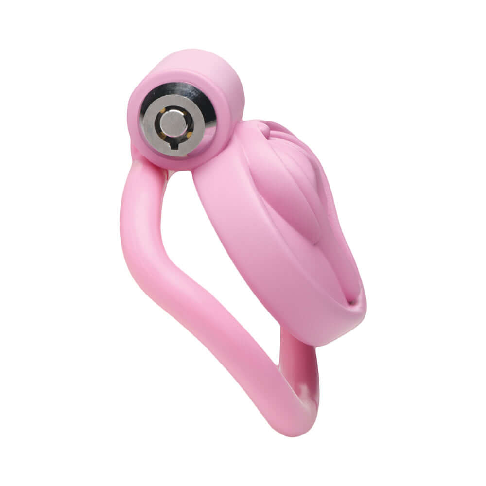 Master Series Vulva Locking Chastity Cage
