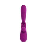 Playboy Cha Cha Slide Wild Aster