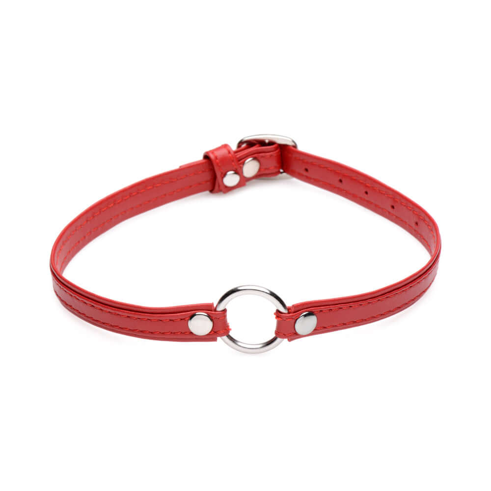 Master Series Fiery Pet Leather Choker with Silver Ring