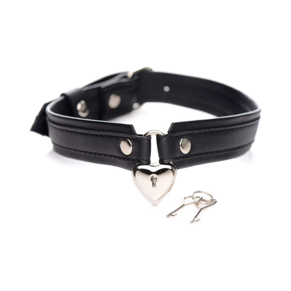 STRICT Locking Heart Collar