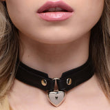 STRICT Locking Heart Collar