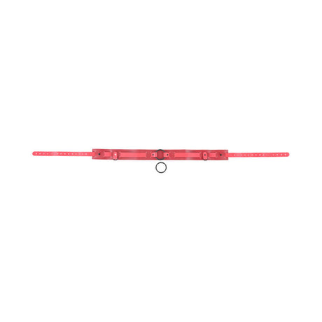 Sex & Mischief Exs & Ohs Bound and Belted restraint belt with sleek design and bold red accents.