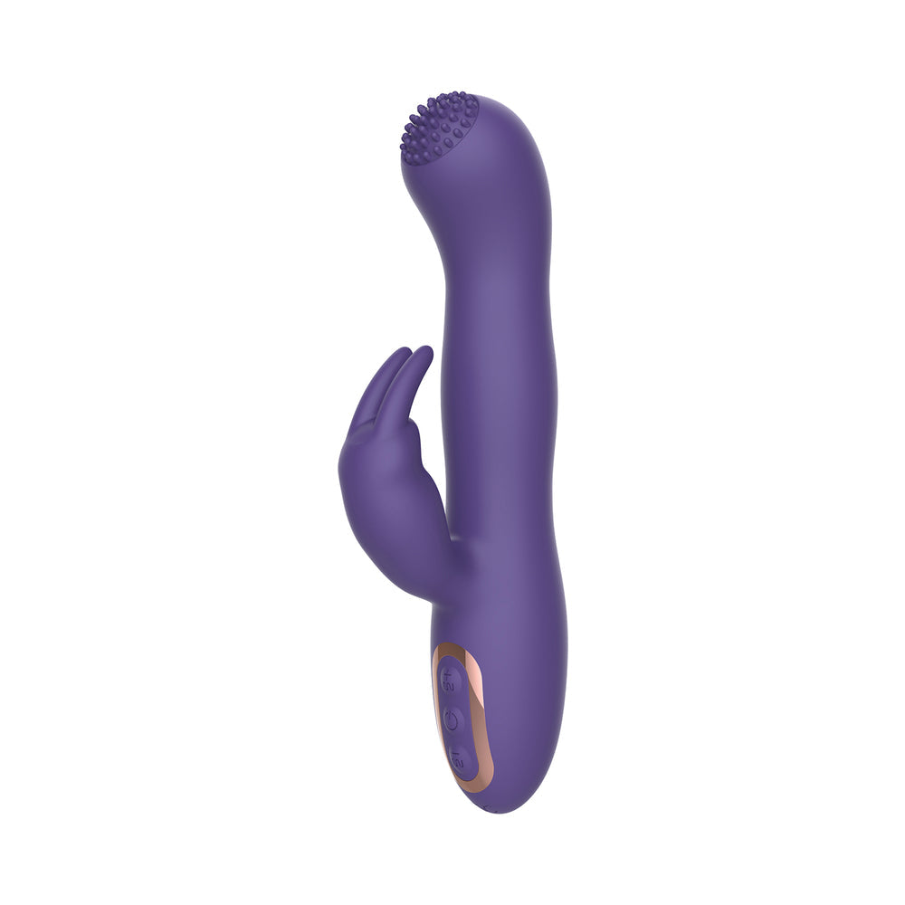 My Secret Erotica Rabbit Vibrator Purple