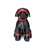 Prowler RED Captain Chains L, a plush dog with black and red chains for unique decor or play.