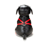 Prowler RED Booted Up Bandit L, oversized novelty padded puppy in black with red harness, 26.5 inches tall.