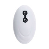 Evolved Fantasy Vibrating Dildo with Remote showing the sleek and modern remote control design.