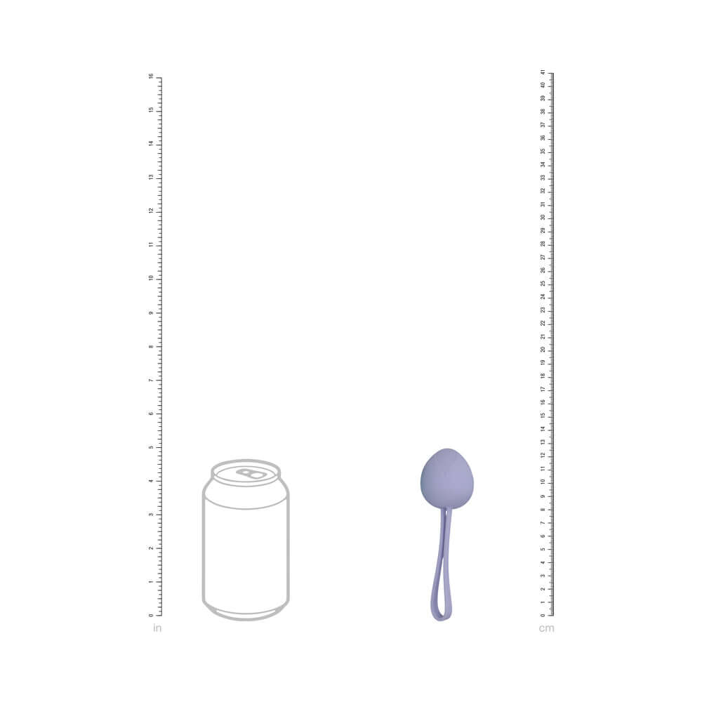 LoveLine PelviFit Berry Kegel Kit Multiweight Waterproof shown next to a can for size comparison.