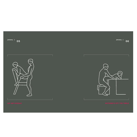 Illustration for Position of the Day Revised and Updated Sex Every Day in Every Way featuring two intimate positions.