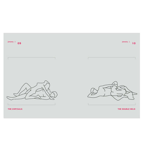 Position of the Day Revised and Updated Sex Every Day in Every Way illustration of The Chrysalis and The Double Helix