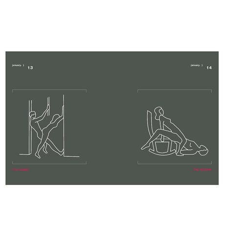 Illustration from Position of the Day Revised and Updated Sex Every Day in Every Way showing two sex positions.