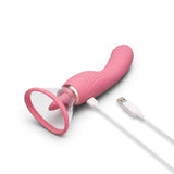 Le Wand Lick Double Ended Vibrator in pink with USB charging cable, designed for pleasure and stimulation.