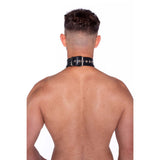 Prowler RED Leather Collar with Strap Black showcased on a model from the back, highlighting the sleek design and adjustable fit.