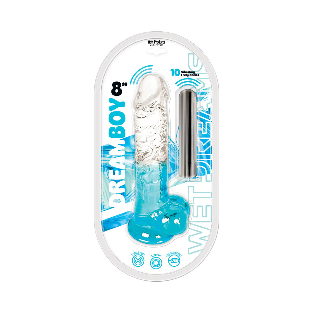 Wet Dreams Dream Boy Jelly Dildo 8 inch & Bullet Vibrator packaging displaying the product and features.