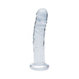 Clarity Seraphic Rapture Glass Dildo, a handblown glass dildo with smooth contours and a sculpted design.