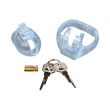 Blue Line Small Dick Acrylic Mini Chastity Cage components including keys and locking mechanism.