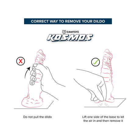 Correct way to remove your dildo with instructions for safe use of Camtoyz Fantasy Dildo Hydrana.