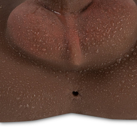Camtoyz Raw Torso Transexual Rupol Piel Oscura Chocolate showing detailed anatomical features and lifelike craftsmanship.