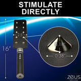 Zeus Electrosex 16 Inch E-stim Spiked Paddle Black with measurements and spiked surface details.