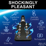 Zeus Electrosex 16 Inch E-stim Spiked Paddle Black featuring conductive spikes and two intensity levels.