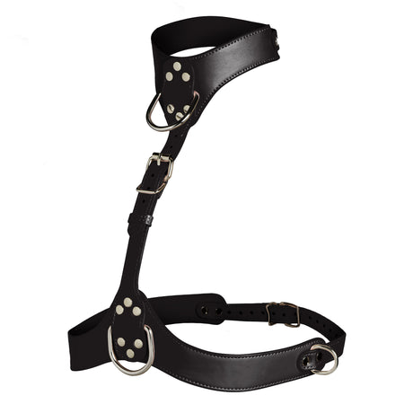 Master Series Vixen Female Chest Harness Black made from durable vegan leather with adjustable straps and polished nickel-free hardware.