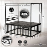 Master Series Bondage Bed with Cage features 79" long, heavy-duty black steel with multiple anchor points for bondage.