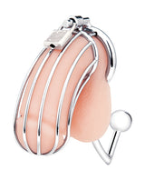 Blue Line Cock Cage with Anal Stimulator Silver featuring stainless steel design and internal stimulation.