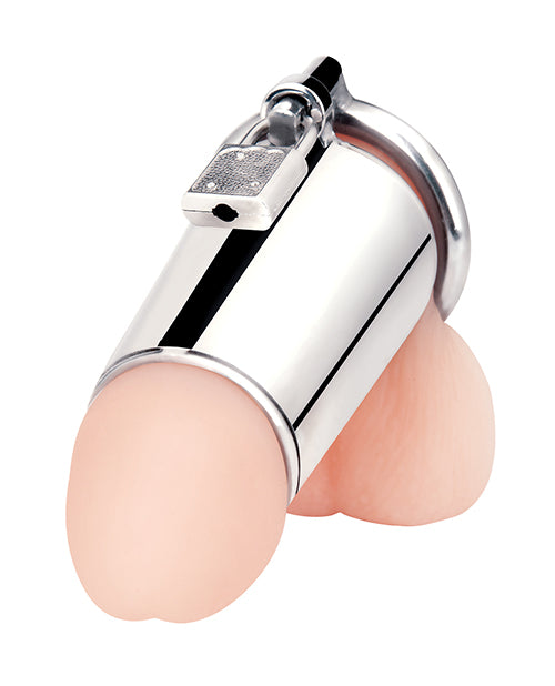 Blue Line Ultimate Cock Tease Cage Silver, a stainless steel chastity device with a lock for arousal and anticipation.