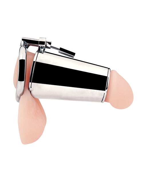Blue Line Ultimate Cock Tease Cage Silver showcasing polished stainless steel design for enhanced arousal and confinement.