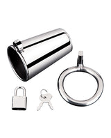 Blue Line Ultimate Cock Tease Cage Silver, stainless steel chastity device, lock and key included.