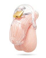 Blue Line 2 Inch Acrylic See Thru Chastity Cock Cage with padlock and clear design, perfect for chastity play.