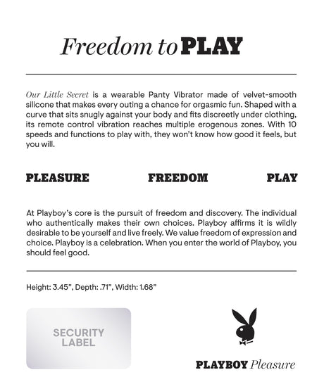 Playboy Our Little Secret Panty Vibrator Purple on a product description page highlighting its features and dimensions.