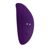Playboy Our Little Secret Panty Vibrator Purple with remote control features and velvet-smooth silicone design.
