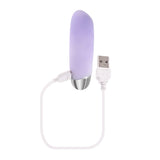 Playboy Bunny Bunch Silicone Bullet Vibrator Purple with USB charging cable on a white background.
