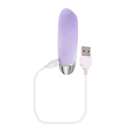 Playboy Bunny Bunch Silicone Bullet Vibrator Purple with USB charging cable on a white background.