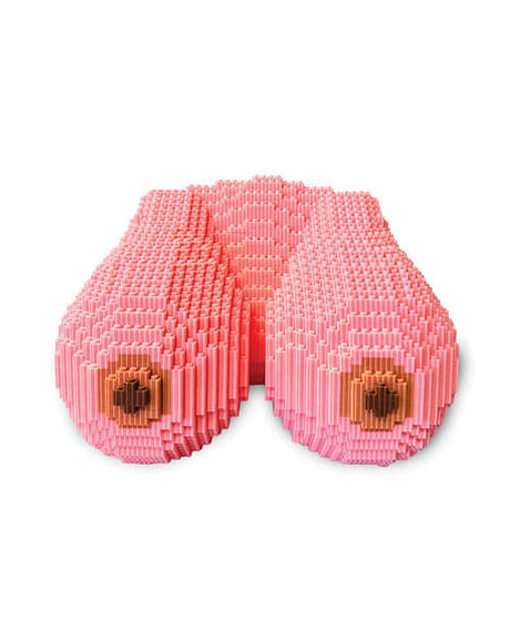 Cock Blocks Rack & Stack Puzzle Kit 3382 Pieces assembled in a playful curvy design showcasing pink puzzle pieces.