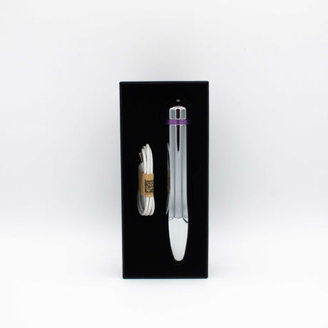 Like A Kitten Fly Me to the Moon Metal Vibrator in sleek packaging with charging cable.