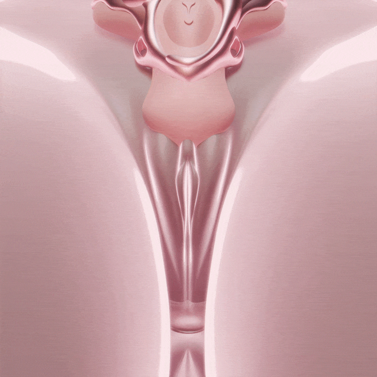 World Best Panty Vibe Massager by Ueros shown in a detailed anatomical illustration.