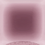 World Best Panty Vibe Massager by Ueros showcasing its innovative design for hands-free intimacy.