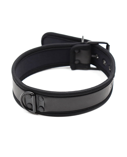Plesur Neoprene Puppy Collar Black, adjustable collar with sturdy D-ring for leash attachment.
