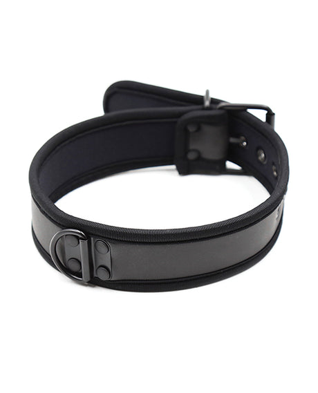 Plesur Neoprene Puppy Collar Black, adjustable collar with sturdy D-ring for leash attachment.