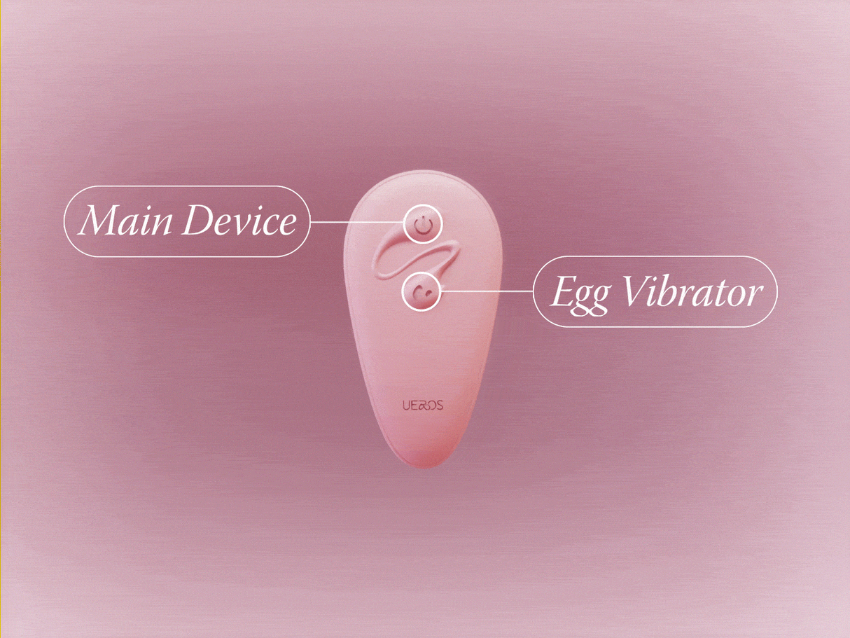 World Best Panty Vibe Massager by Ueros showing main device and egg vibrator details.