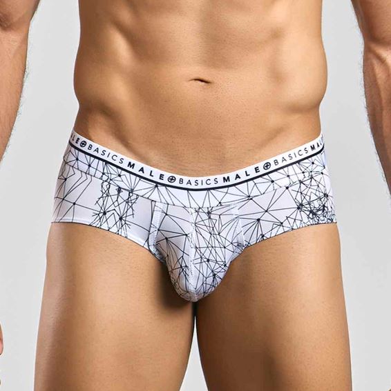 Male Basics Hipster Brief Spider Small