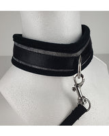 Spartacus Collar and Leash Neoprene Silver detail shot, showing black collar with silver accents and leash attachment.