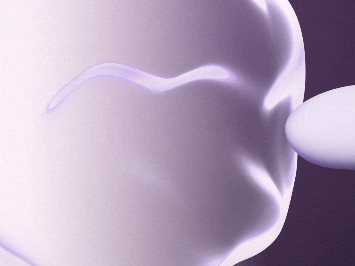 UEROS Suction & Insertable Vibrator Set Dual Function Purple demonstrating suction technology on a smooth surface.