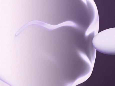 UEROS Suction & Insertable Vibrator Set Dual Function Purple demonstrating suction technology on a smooth surface.