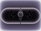 UEROS Suction & Insertable Vibrator Set Dual Function Purple showcasing suction and insertable features.