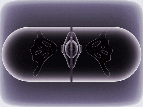 UEROS Suction & Insertable Vibrator Set Dual Function Purple showcasing suction and insertable features.
