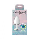 Cheeky Charms Round Clear Iridescent Large Silver Plug packaging featuring a silver anal plug with an iridescent gem.