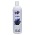 Wet Uranus Anal Water Based Lubricant 16 Oz bottle with thick consistency for enhanced comfort.